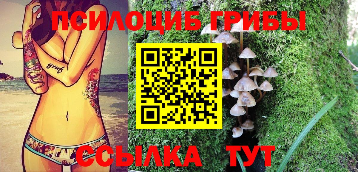 Элиста  Псилоцибиновые грибы мухоморы  Галлюциногенные грибы ЛСД  Вход с VPN 